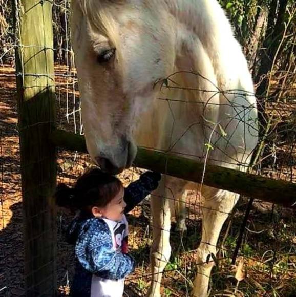 Meet your Posher, Lisa - Picture 1 of 1